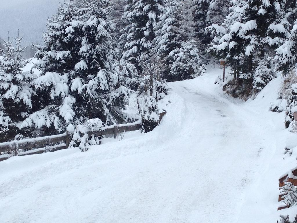 Chalet Steiermark Pusterwald Bilik gambar